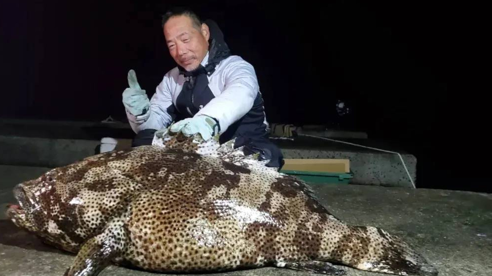 アラ（ヤイトハタ）32.4kg
