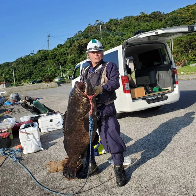 アラ（ヤイトハタ）40kg